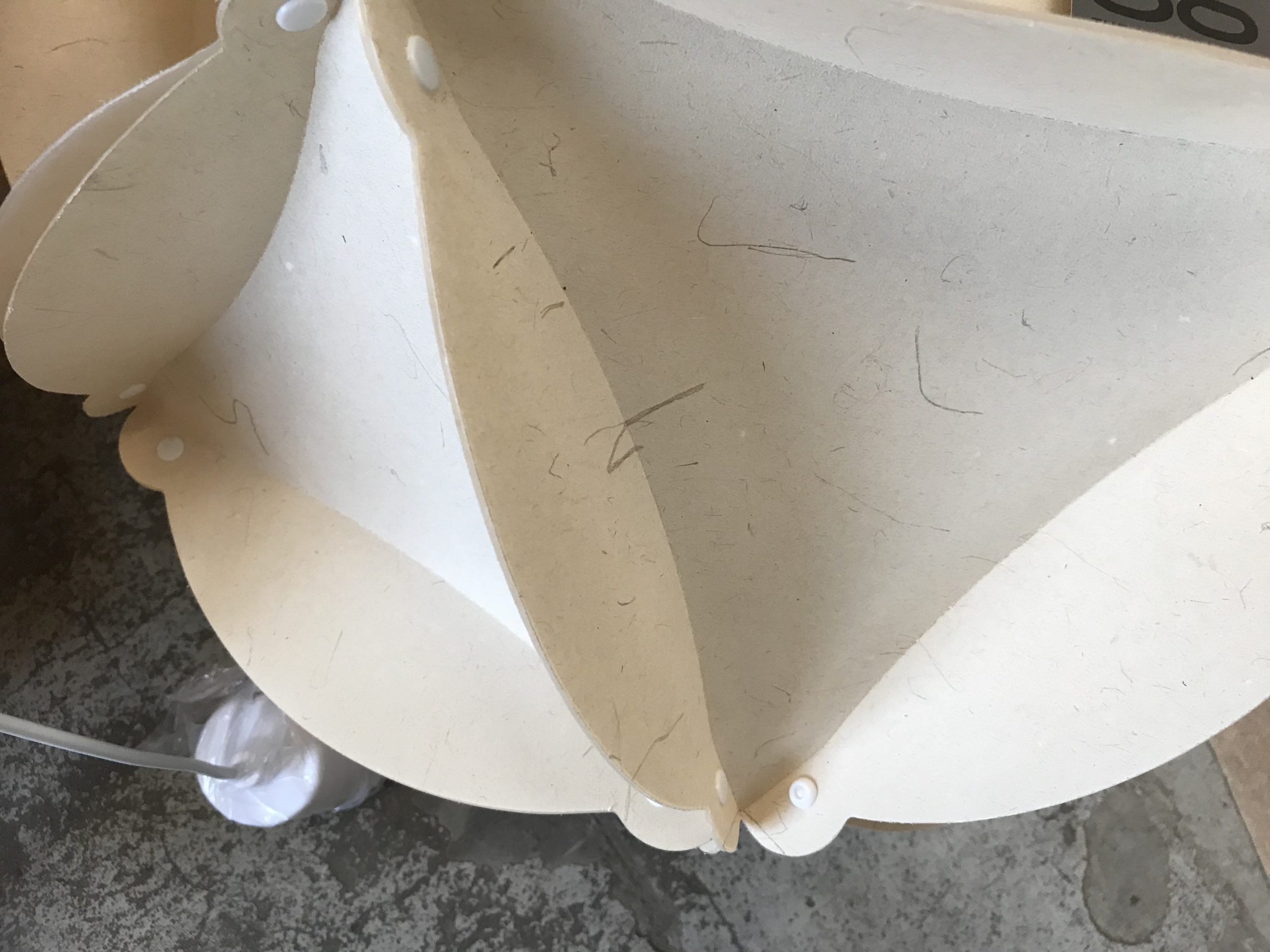 6B2DEEFE-CE45-41E1-9AE8-E8B5AC620541