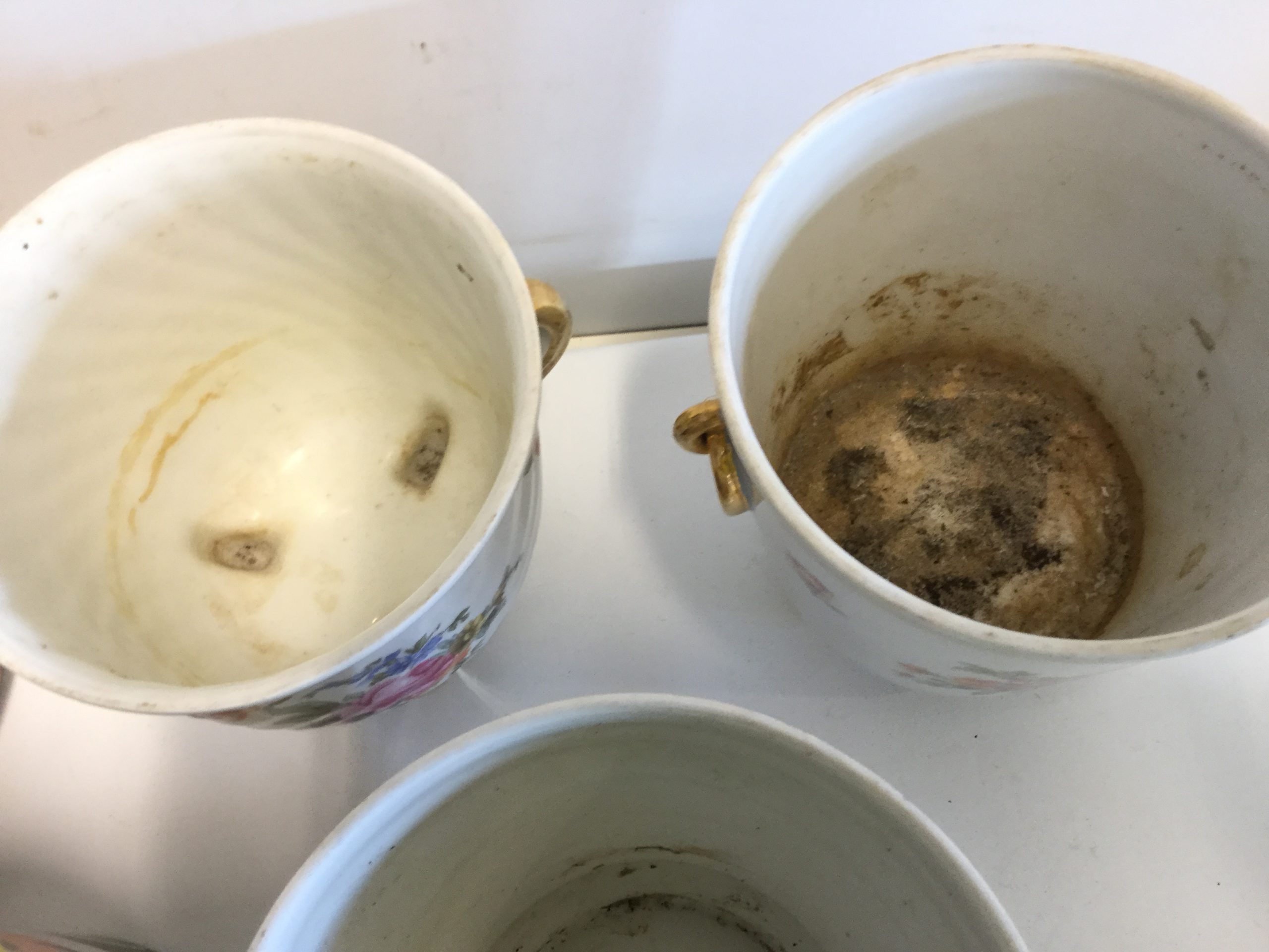 E352E2EC-9E5B-48D5-B091-FEE5BA97F67C